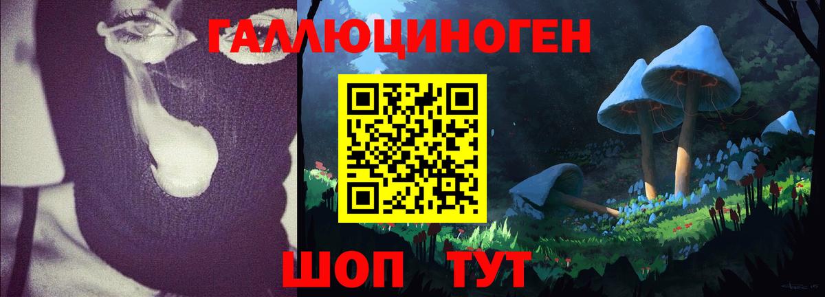 Псилоцибиновые грибы прущие грибы Урус-Мартан